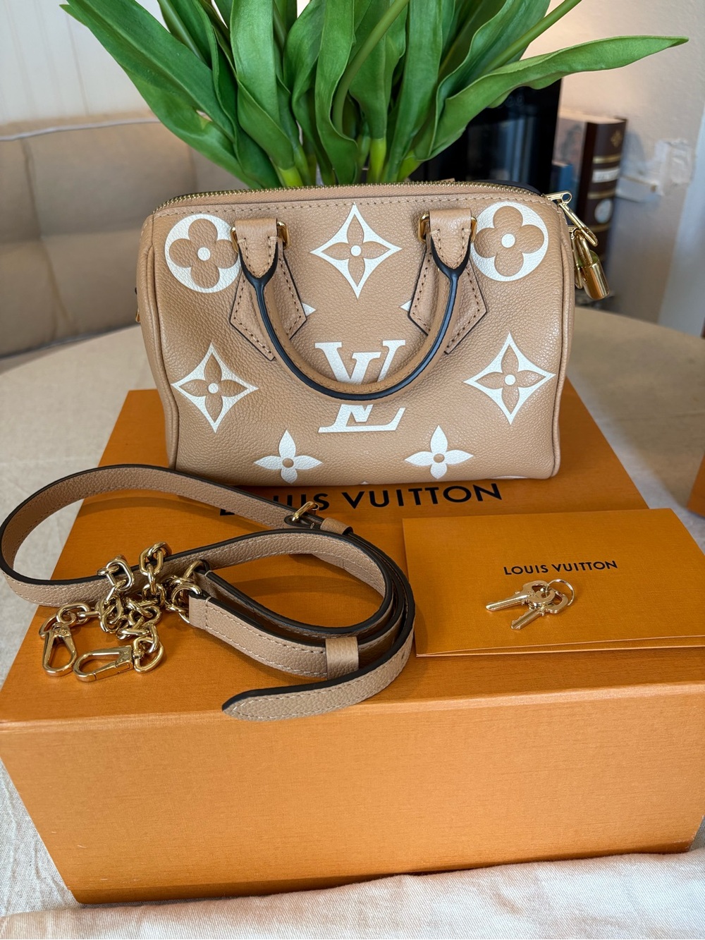 Louis Vuitton Speedy 20
